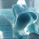 homme libertin likingm