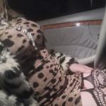 travesti libertin ellora